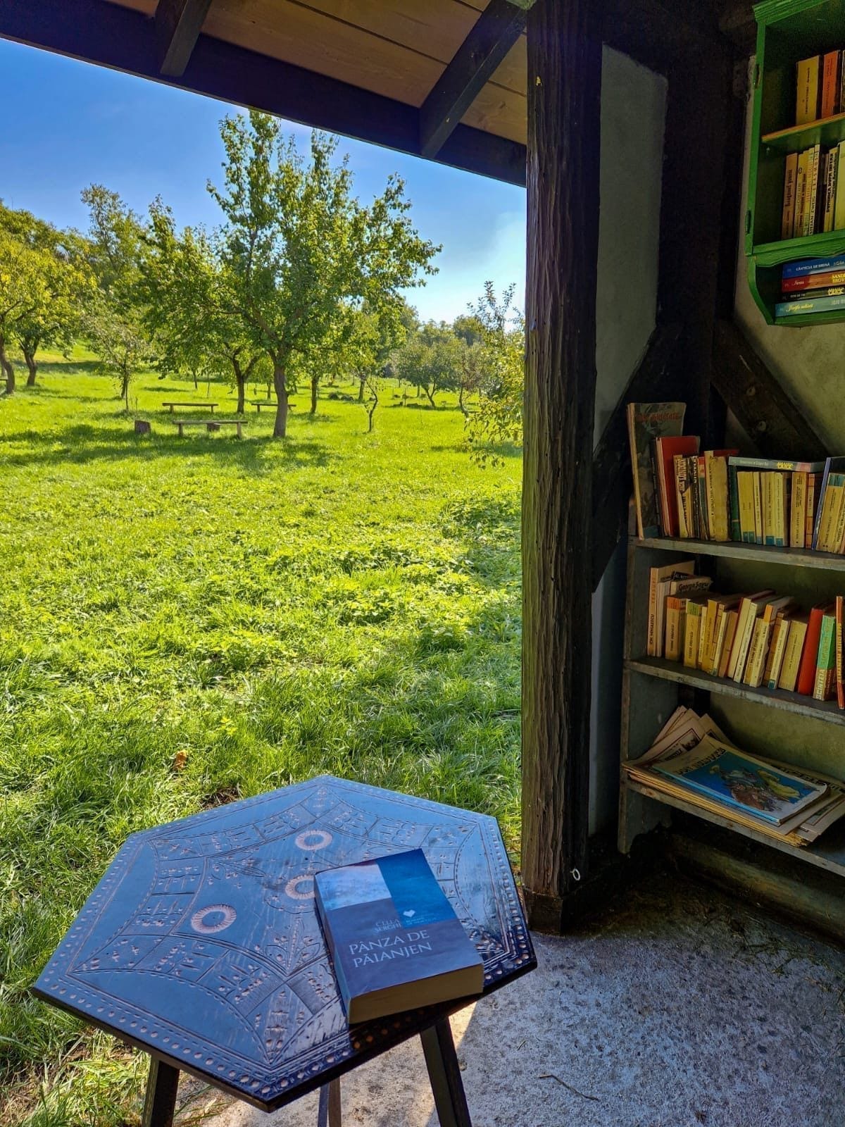 Biblioteca din Livada